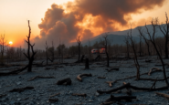 incendios en espana analisis de la crisis y sus implicaciones politicas python 1755409271