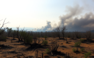 incendios en espana analisis de la situacion critica python 1755420264