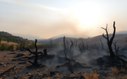 incendios en espana datos y lecciones a seguir python 1755712854