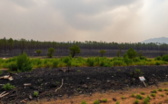 incendios en espana que nos dicen los datos sobre la gestion actual python 1755268590
