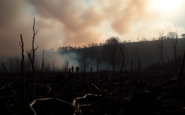 incendios forestales en espana analisis de la situacion actual python 1755094117