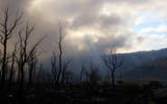 incendios forestales en espana analisis y lecciones a aprender python 1755727648