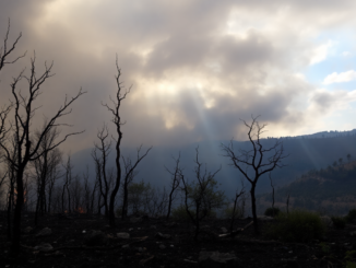 incendios forestales en espana analisis y lecciones a aprender python 1755727648