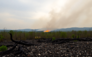 incendios forestales en espana datos y lecciones que aprendemos python 1755960010