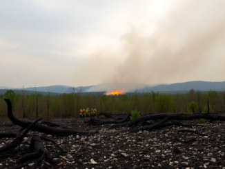 incendios forestales en espana datos y lecciones que aprendemos python 1755960010