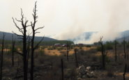 incendios forestales en espana impacto en la comunidad y el medio ambiente python 1755764491
