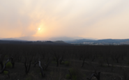 incendios forestales en espana lecciones y realidades ocultas python 1755511585