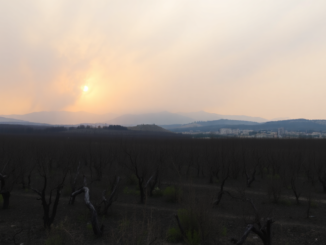 incendios forestales en espana lecciones y realidades ocultas python 1755511585