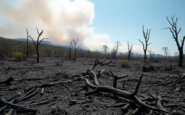 incendios forestales en espana medidas y lecciones aprendidas python 1756305218