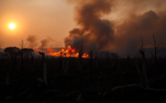 incendios forestales en espana un analisis de la crisis actual python 1755978365