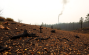 la alarmante ola de incendios en espana cifras y consecuencias python 1755242672