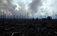 la devastacion de los incendios forestales en galicia y leon un analisis necesario python 1755477298