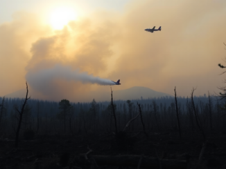 presupuestos insuficientes como afecta a la lucha contra los incendios en 2025 python 1755224307