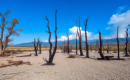 reflexiones sobre el desastre ambiental en castilla y leon python 1755504071