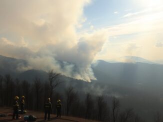 el incendio en el pico del lobo muestra signos de mejora a medida que las condiciones se estabilizan python 1758961652