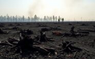 incendios forestales en espana un analisis critico de la gestion y sus consecuencias python 1757373867