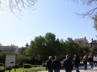 alerta en andalucia brote de fiebre del nilo en la rinconada y almensilla 1761936259