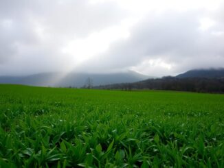 pronostico del tiempo en espana aumento de temperaturas y lluvias previstas 1763969819