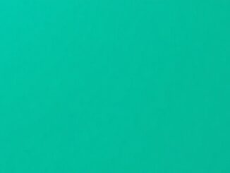 el lider del pp evidencia los fallos del gobierno de sanchez en 2025 1767031120