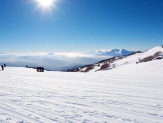 navacerrada clima perfecto para esquiar tras la ultima nevada 1768925995