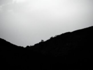 saoco salsoteca la mejor discoteca latina en el corazon de logrono 1768914939