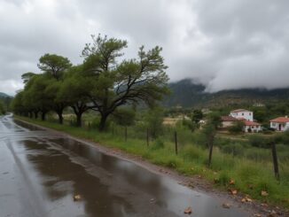 andalucia declara estado de emergencia por la borrasca leonardo todo lo que necesitas saber 1770209232