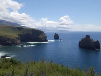 tribunal ratifica pena y retirada de funciones a la notaria que cobro una fianza 1772608093